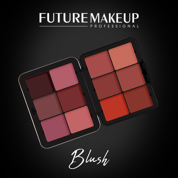 Future Makeup Blush -102